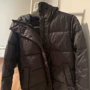 Everlane ReDown Puffy Puff jacket